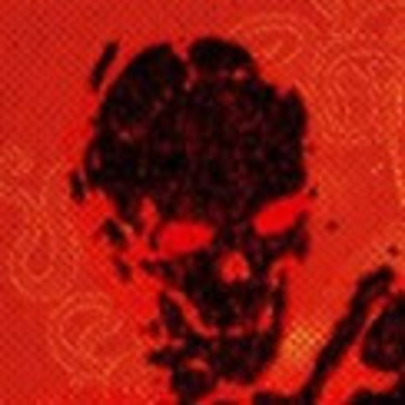 Meet your Posher, Elian - Picture 1 of 1